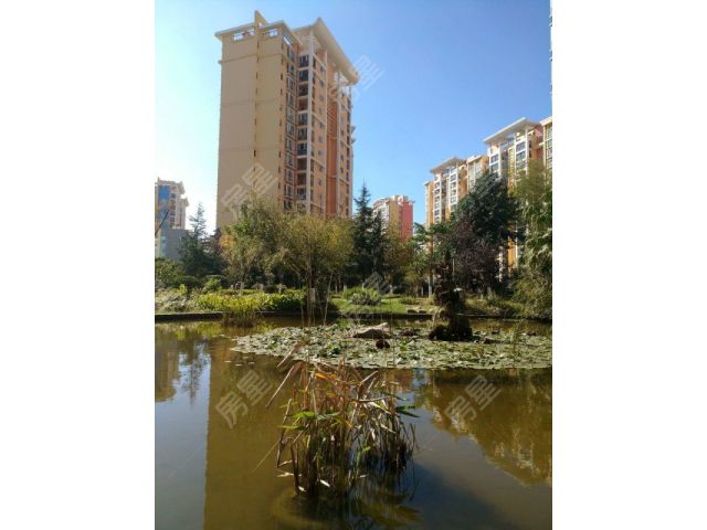 北京路 地铁口 金江小区 融苑3 小区中间厨卫全明230万