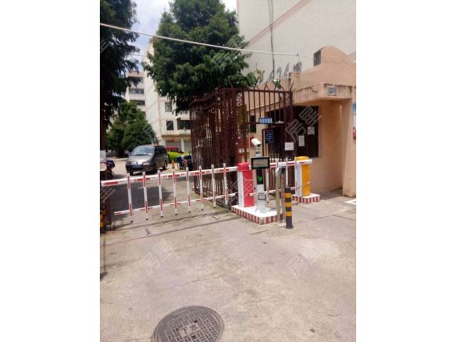 金实小区真实园图片