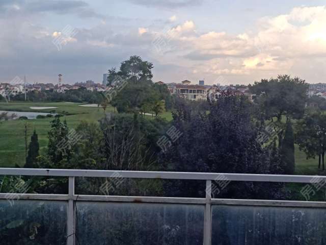 球客厅车位双拼花园好别墅大开盘视野带道边奉花屿湾别墅城中空图片