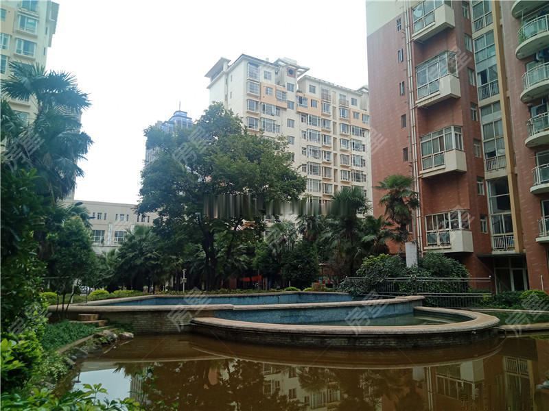 国际(棕榈泉花园)图片