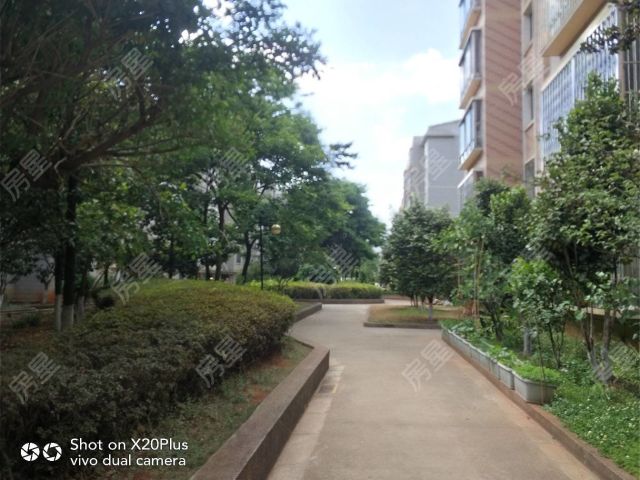 霖雨路月牙塘小区 精装大四房 带自家花园 南北通透看房有钥匙
