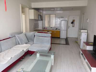 硅谷公寓精装2房买的a公寓住的舒适二手家具去哪里买图片