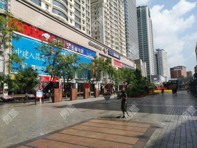 地铁口南屏街端头3面采光全落地窗精装电梯大5室户型好带车位急