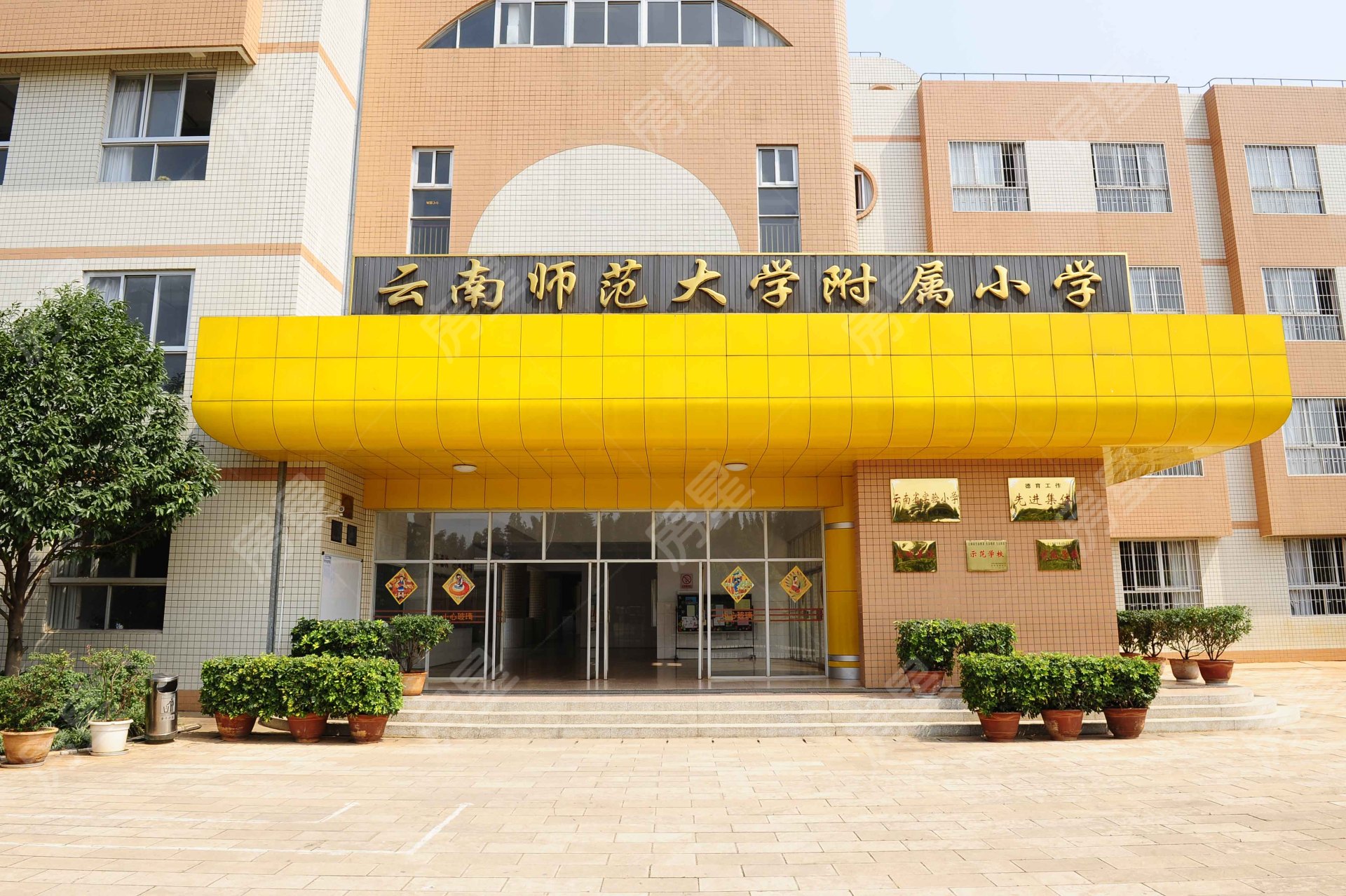 云南师范大学附属小学金牛校区