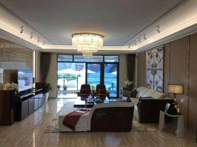 碧桂园星荟一手现房精装 智慧4.0系统 瀑布公园