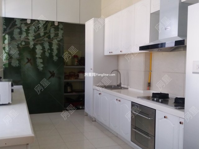 彩云水榭马可波罗豪装别墅 格局方正大气 种植