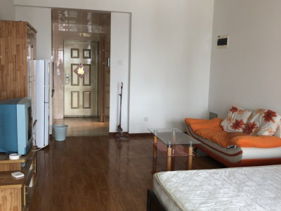 白塔路 86街精装复式楼 电梯小高层 64平1室1