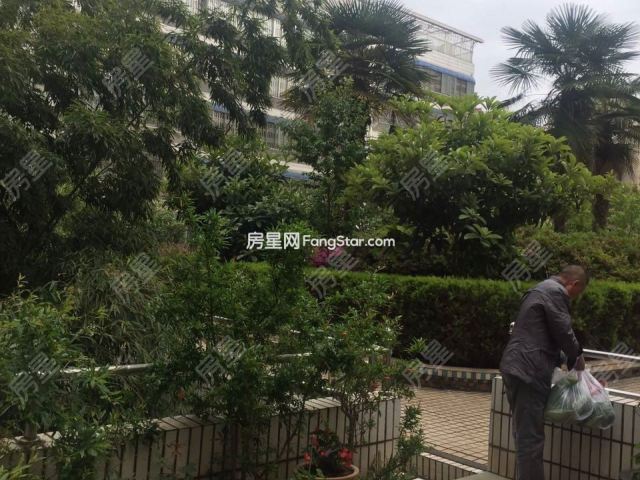 双桥路 关一小学位 石油生活区旁 机设公司宿舍