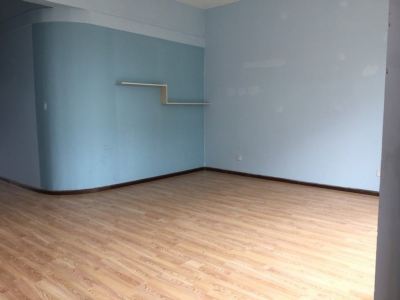 金江小区中间南北通透板式跃层全新毛坯无人住