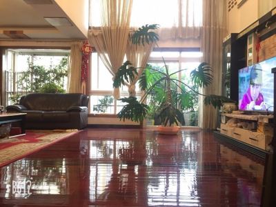 金玉缘跃层式6房带20平米在两个屋顶花园有电