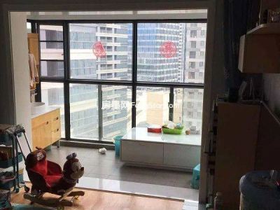 泛亚科技新区全智能纯板式江景98平小三房实