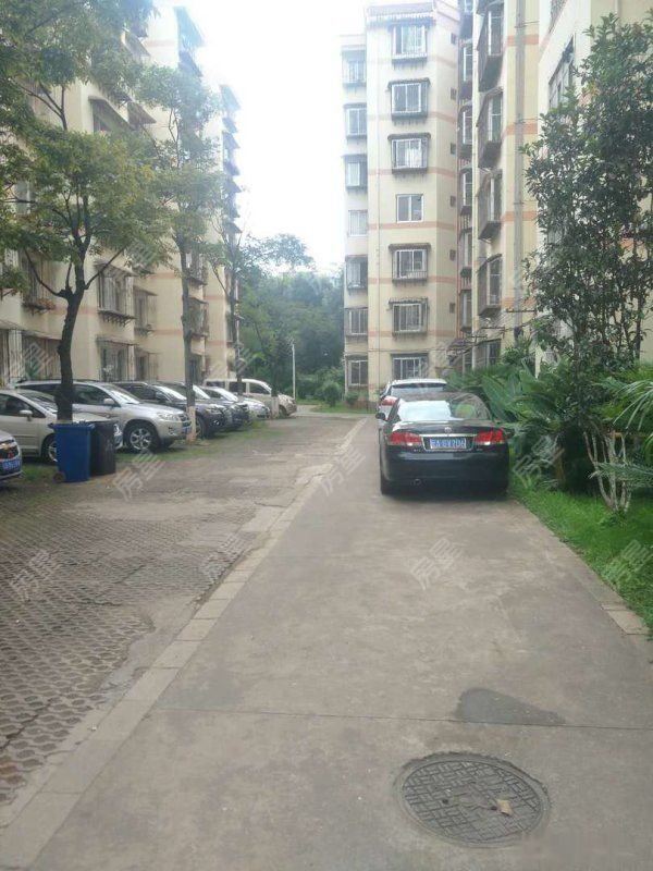 梁源三期标准三室两厅双卫证上面积115平方南