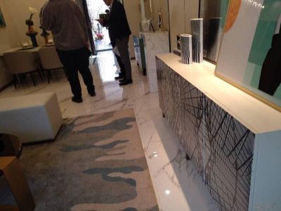 西三环实地 花鹤翎豪华精装交房纯板式花园洋