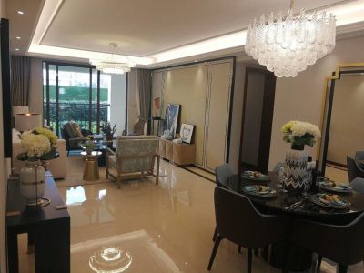 巫家坝CBD广福路 红星天铂 万科大都会高端品