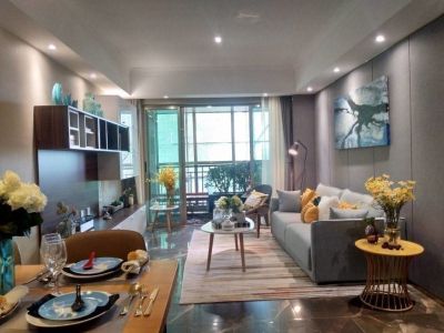 龙江边 江东境界 精装一手新房 精装修 送车位