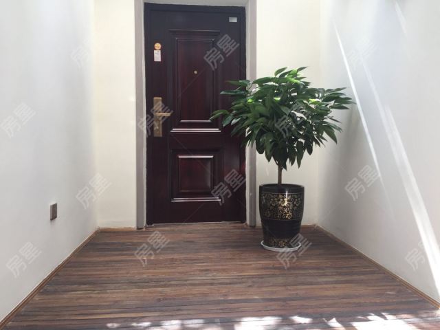 西园路西华小区 精装一楼三室一厅两卫 带三个