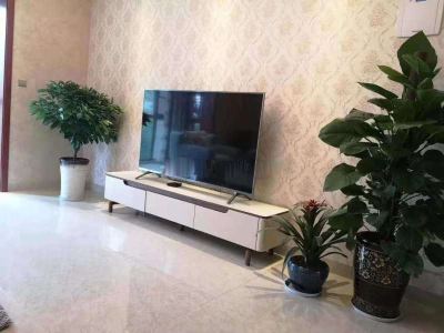 二环内地铁边 金泰三期 两梯三户 板式住宅 自带