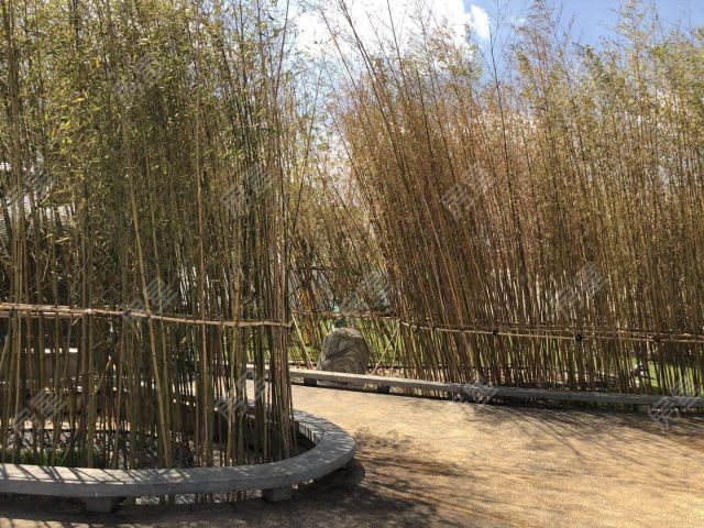 中国奥园 位于昆明东大门 两梯四户 全明设计 得