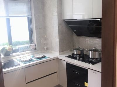 地铁旁,巫家坝,中南云境,精装交付,2梯2户,随时