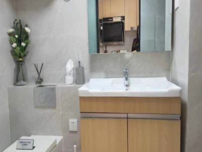 双地铁物业 50万买精装loft两房 和悦名著 敬享