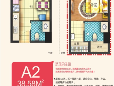 1室1厅 百大国际派公寓户型图