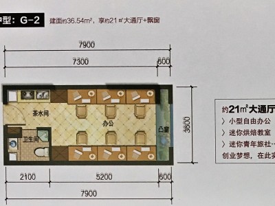 1室1廳1陽(yáng)臺(tái) 藍(lán)光水岸公園公寓戶型圖