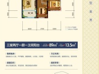 3室2廳1陽(yáng)臺(tái) 紅星天鉑戶型圖