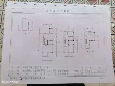 5室3廳4陽臺 玫瑰灣小區(qū)別墅戶型圖