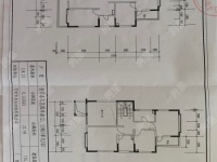 5室2廳2陽臺 金岸春天戶型圖