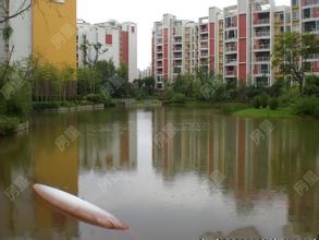 湖畔之梦其它