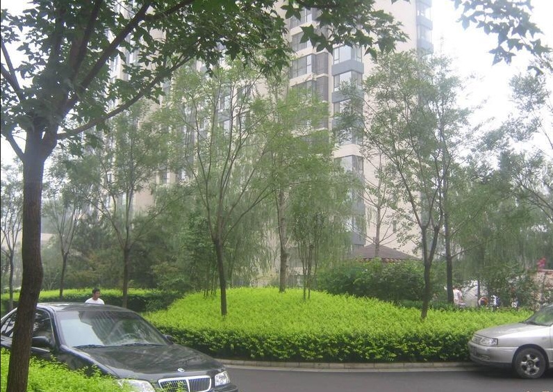 中国银行云南省分行宿舍（联盟路410号）其它