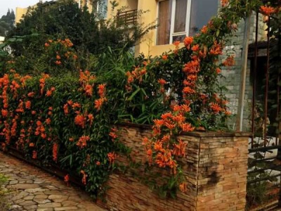 世博生態(tài)城依山鄰里