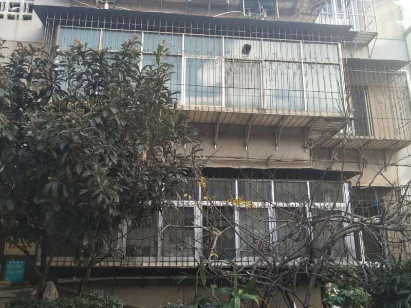 省政府辦公廳宿舍其它