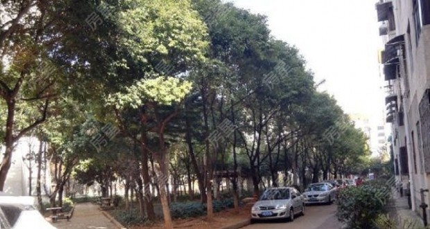 西壩路283號(hào)其它