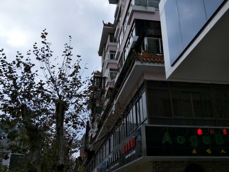 正義路北段其它
