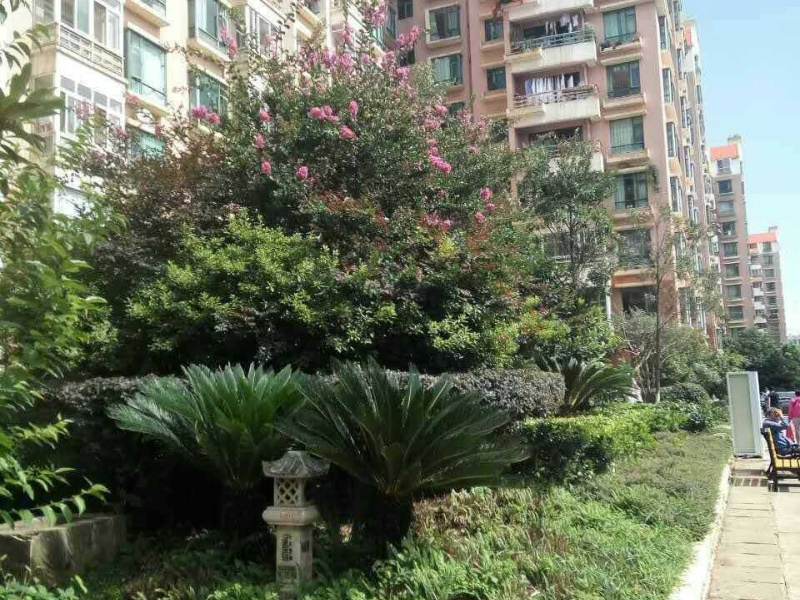 味精廠職工宿舍其它