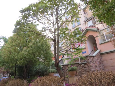 【昆明新亚洲星汇园二手房_租房】