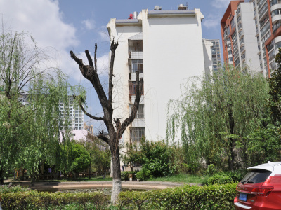 金福園南區(qū)