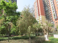 新亞洲星宇園其它