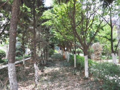 麻線營小區(qū)