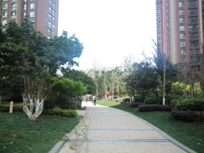 紅星國(guó)際紫郡