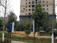 國?，F(xiàn)代城薔薇苑其它