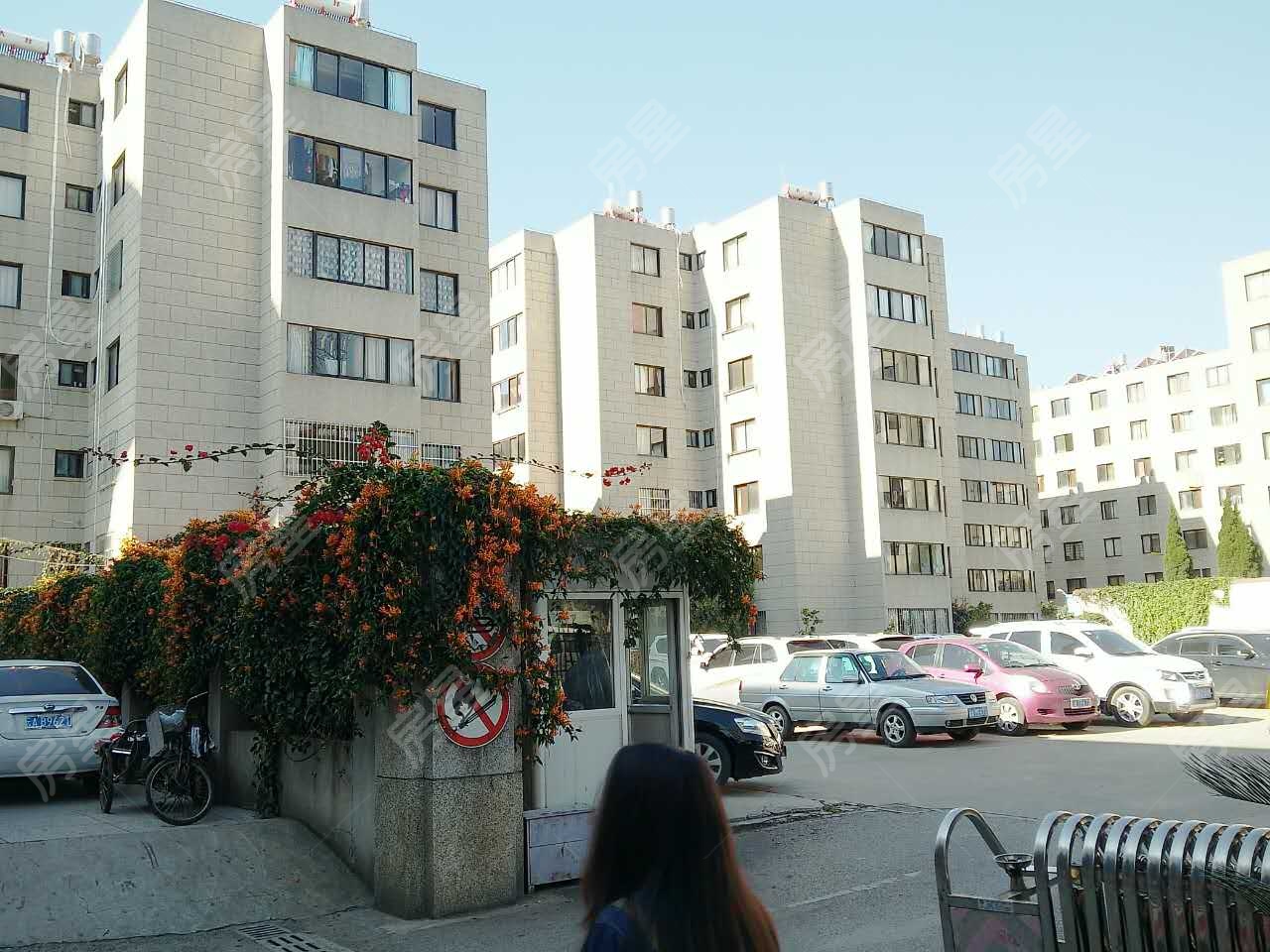 【市级机关大树营生活小区】市级机关大树营生活小区小