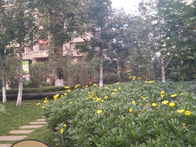 同德昆明廣場(chǎng)B區(qū)