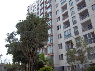 枫林盛景东区其它