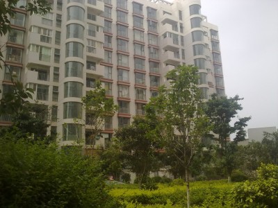 枫林盛景东区其它
