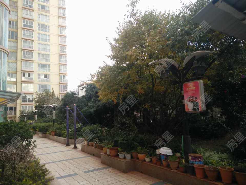 紅星家園（關(guān)上）其它