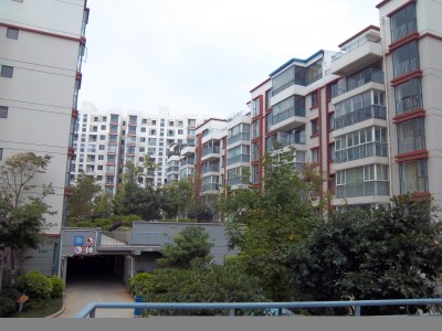 枫林盛景东区其它