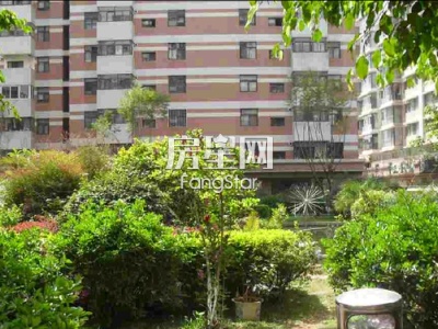 金實(shí)小區(qū)誠(chéng)實(shí)園