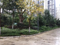 金江小區(qū)曦苑其它